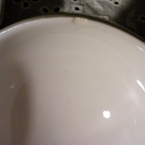 1800's Royal Vitreous Soup Tureen & Under plate - Picture 9 of 10